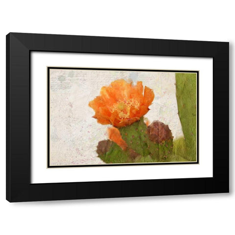 Cacti Flower Black Modern Wood Framed Art Print with Double Matting by Allen, Kimberly