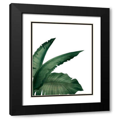 Palms 1 Black Modern Wood Framed Art Print with Double Matting by Allen, Kimberly