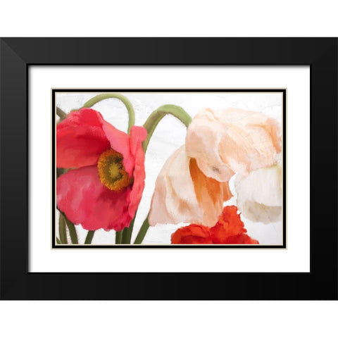 Poppies Black Modern Wood Framed Art Print with Double Matting by Allen, Kimberly