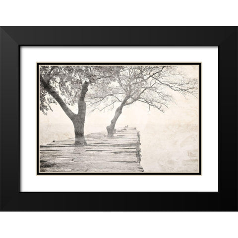 Tree Pier Black Modern Wood Framed Art Print with Double Matting by Allen, Kimberly