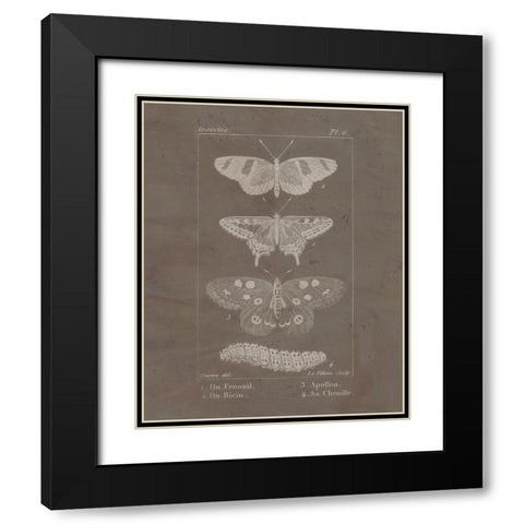 Vintage Insect 1 Black Modern Wood Framed Art Print with Double Matting by Allen, Kimberly