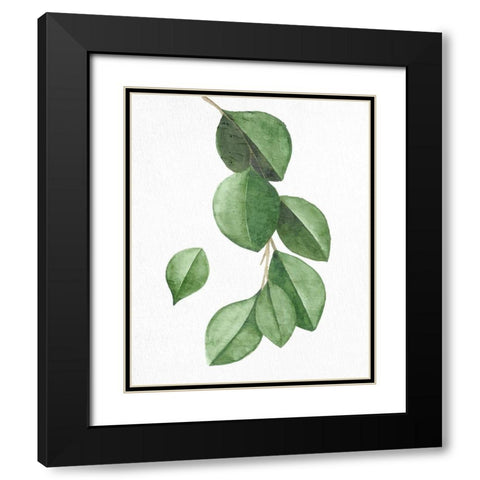 Greens 3 Black Modern Wood Framed Art Print with Double Matting by Allen, Kimberly