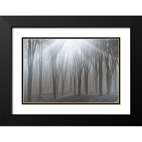 Sunlight Black Modern Wood Framed Art Print with Double Matting by Allen, Kimberly