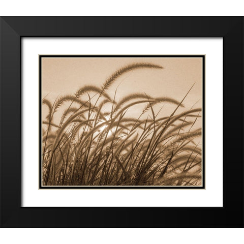 Reeds Black Modern Wood Framed Art Print with Double Matting by Allen, Kimberly