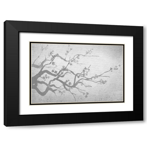 Cherry Blossom Branch in Silver Black Modern Wood Framed Art Print with Double Matting by Allen, Kimberly