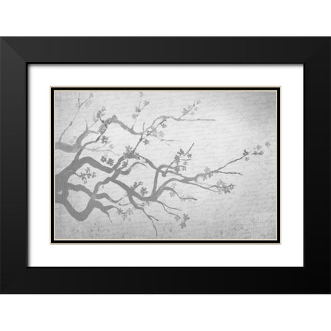 Cherry Blossom Branch in Silver Black Modern Wood Framed Art Print with Double Matting by Allen, Kimberly