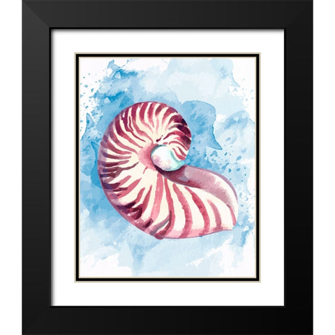 Coast Shell Pastel 1 Black Modern Wood Framed Art Print with Double Matting by Allen, Kimberly