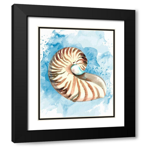 Coast Shell 1 Black Modern Wood Framed Art Print with Double Matting by Allen, Kimberly