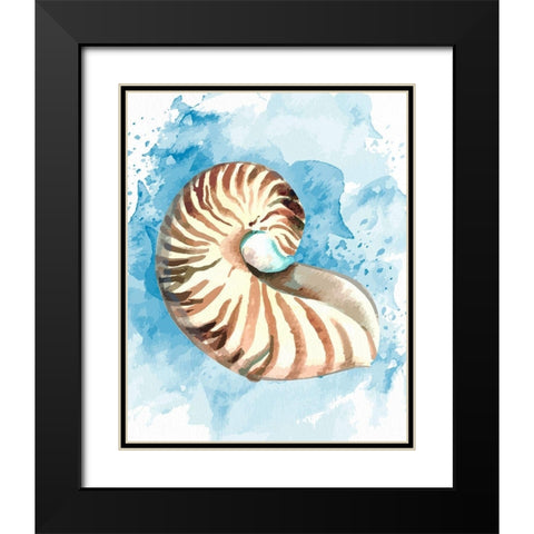 Coast Shell 1 Black Modern Wood Framed Art Print with Double Matting by Allen, Kimberly