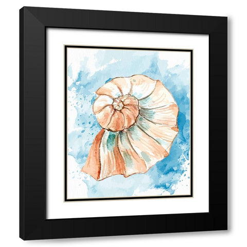 Coast Shell 2 Black Modern Wood Framed Art Print with Double Matting by Allen, Kimberly