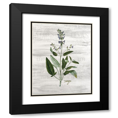 Fresh Cut Herbs 2 Black Modern Wood Framed Art Print with Double Matting by Allen, Kimberly