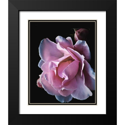 Floral Closeup 2 Black Modern Wood Framed Art Print with Double Matting by Allen, Kimberly