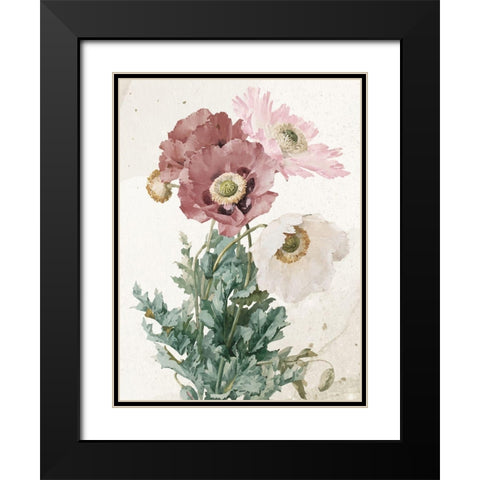 Vintage Flower Black Modern Wood Framed Art Print with Double Matting by Allen, Kimberly