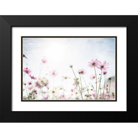 Wildflower Spring Black Modern Wood Framed Art Print with Double Matting by Allen, Kimberly