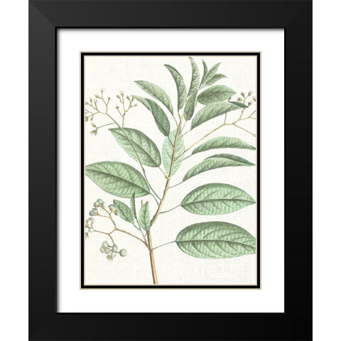 Branch 1 Black Modern Wood Framed Art Print with Double Matting by Allen, Kimberly