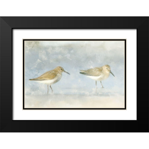 Sandpiper Beach Black Modern Wood Framed Art Print with Double Matting by Allen, Kimberly