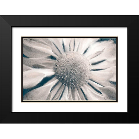 Marguerite Black Modern Wood Framed Art Print with Double Matting by Allen, Kimberly