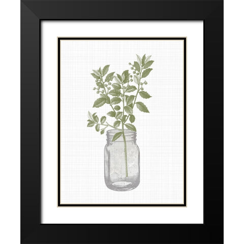 Jar Herbs 2 Black Modern Wood Framed Art Print with Double Matting by Allen, Kimberly