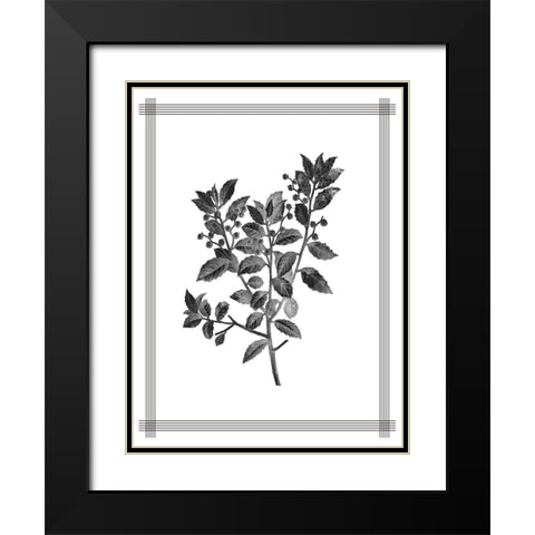 Pressed 2 Black Modern Wood Framed Art Print with Double Matting by Allen, Kimberly
