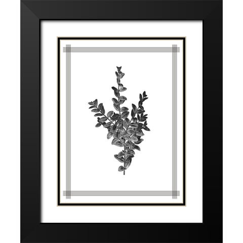 Pressed 4 Black Modern Wood Framed Art Print with Double Matting by Allen, Kimberly