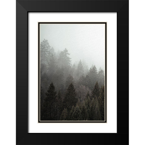Mist 1 Black Modern Wood Framed Art Print with Double Matting by Allen, Kimberly