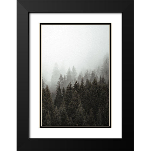 Mist 2 Black Modern Wood Framed Art Print with Double Matting by Allen, Kimberly