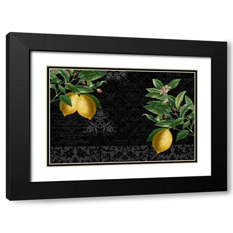 Lemon Drop Black Modern Wood Framed Art Print with Double Matting by Allen, Kimberly
