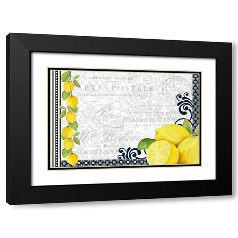 Lemons Black Modern Wood Framed Art Print with Double Matting by Allen, Kimberly