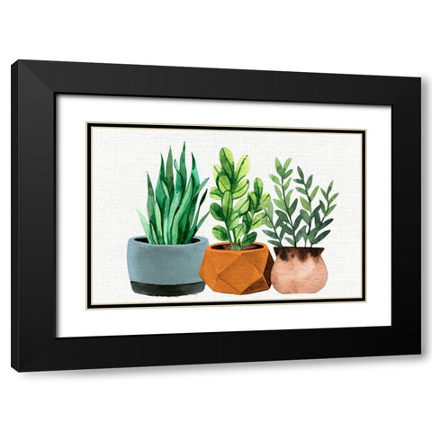 Potted Plants Black Modern Wood Framed Art Print with Double Matting by Allen, Kimberly