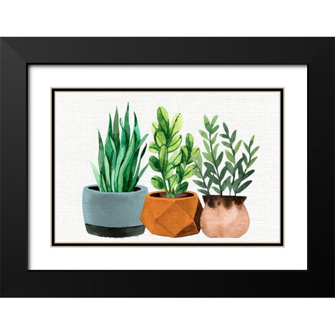 Potted Plants Black Modern Wood Framed Art Print with Double Matting by Allen, Kimberly