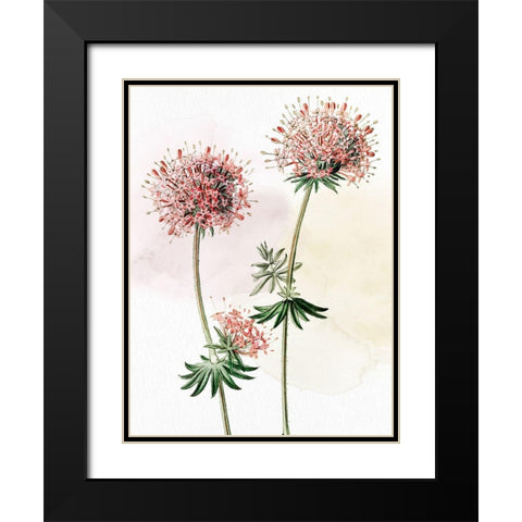 Watercolor Crosswort Black Modern Wood Framed Art Print with Double Matting by Allen, Kimberly
