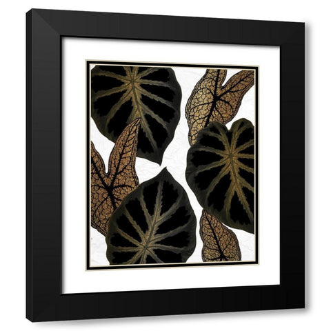 Tropical Black 2 Black Modern Wood Framed Art Print with Double Matting by Allen, Kimberly