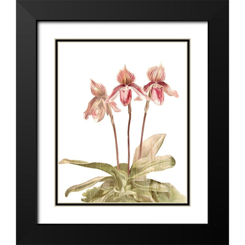 Orchid Love 4 Black Modern Wood Framed Art Print with Double Matting by Kimberly, Allen
