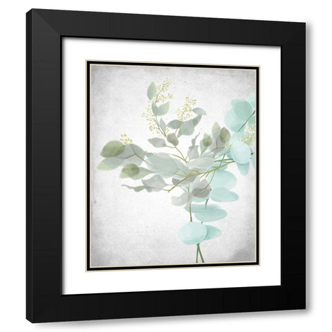 Eucalyptus and Leaves 1 Black Modern Wood Framed Art Print with Double Matting by Allen, Kimberly