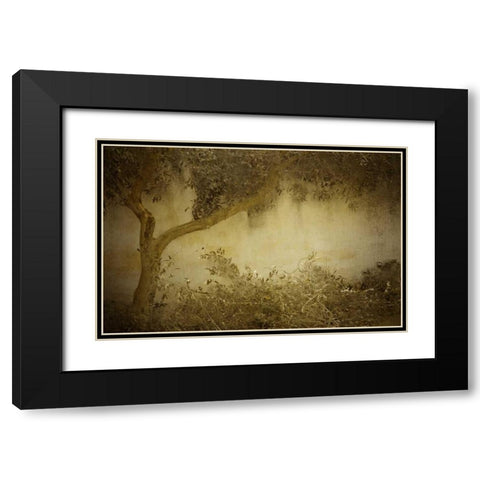 Olive Tree Black Modern Wood Framed Art Print with Double Matting by Allen, Kimberly