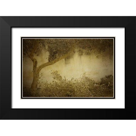 Olive Tree Black Modern Wood Framed Art Print with Double Matting by Allen, Kimberly