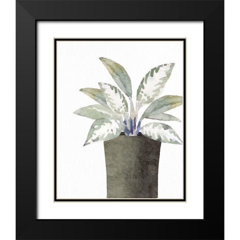 Olive Pot 2 Black Modern Wood Framed Art Print with Double Matting by Allen, Kimberly