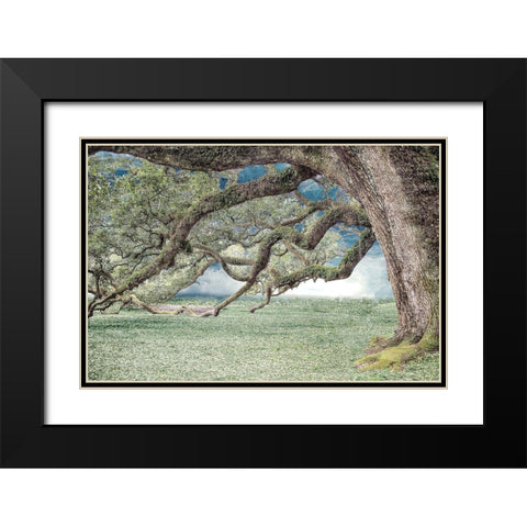 Under the Branches Black Modern Wood Framed Art Print with Double Matting by Allen, Kimberly