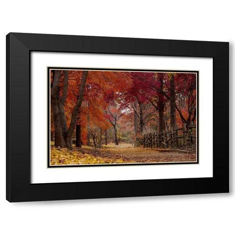 Autumn Stroll Black Modern Wood Framed Art Print with Double Matting by Allen, Kimberly