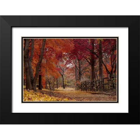 Autumn Stroll Black Modern Wood Framed Art Print with Double Matting by Allen, Kimberly