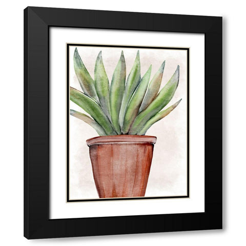 Succulent Plant 1 Black Modern Wood Framed Art Print with Double Matting by Allen, Kimberly
