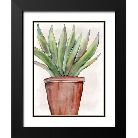 Succulent Plant 1 Black Modern Wood Framed Art Print with Double Matting by Allen, Kimberly