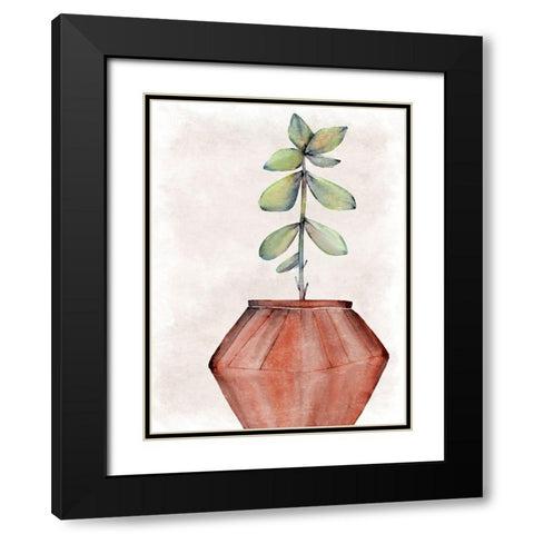 Succulent Plant 2 Black Modern Wood Framed Art Print with Double Matting by Allen, Kimberly
