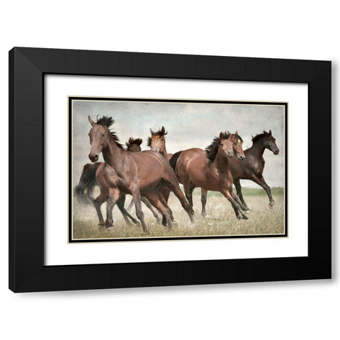 Running Wild Horses Black Modern Wood Framed Art Print with Double Matting by Allen, Kimberly