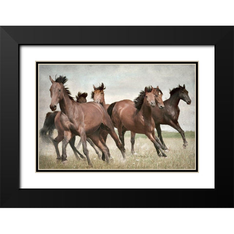 Running Wild Horses Black Modern Wood Framed Art Print with Double Matting by Allen, Kimberly