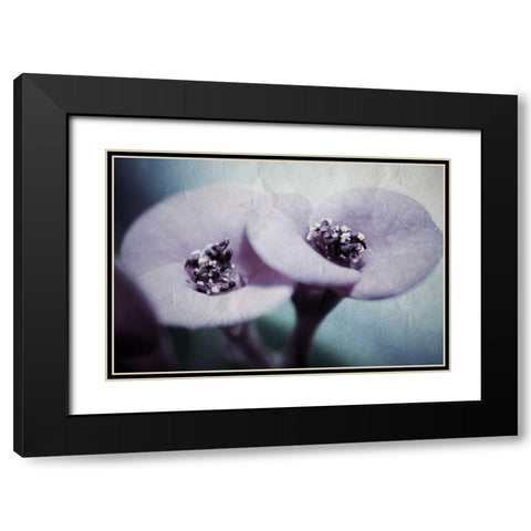 My View Black Modern Wood Framed Art Print with Double Matting by Allen, Kimberly