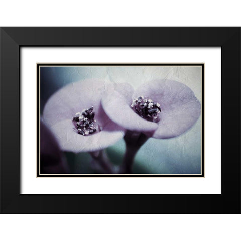 My View Black Modern Wood Framed Art Print with Double Matting by Allen, Kimberly