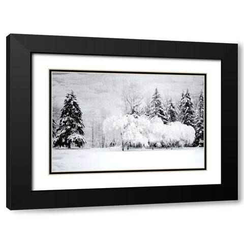 Winter Snow Black Modern Wood Framed Art Print with Double Matting by Allen, Kimberly
