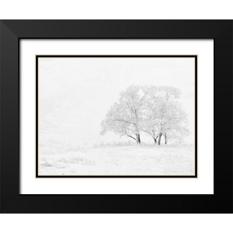 Winter White Black Modern Wood Framed Art Print with Double Matting by Allen, Kimberly
