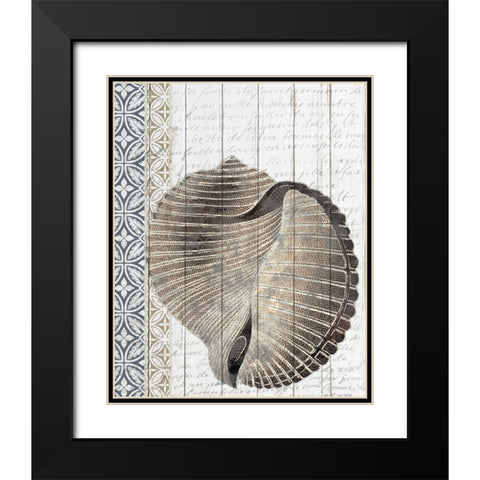 Shells 1 Black Modern Wood Framed Art Print with Double Matting by Allen, Kimberly